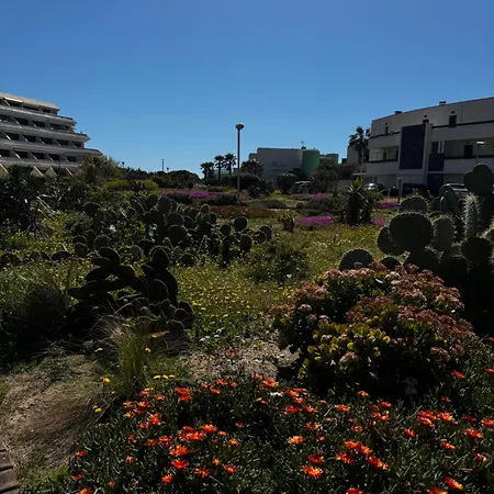 Heliophile Village Naturiste Heliopolis Vue דירה *